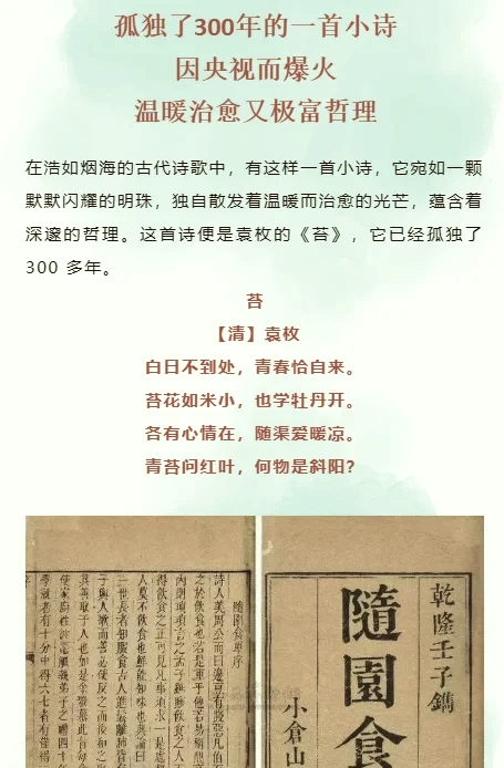 小诗成为学校教具小诗成为学校教具的魅力