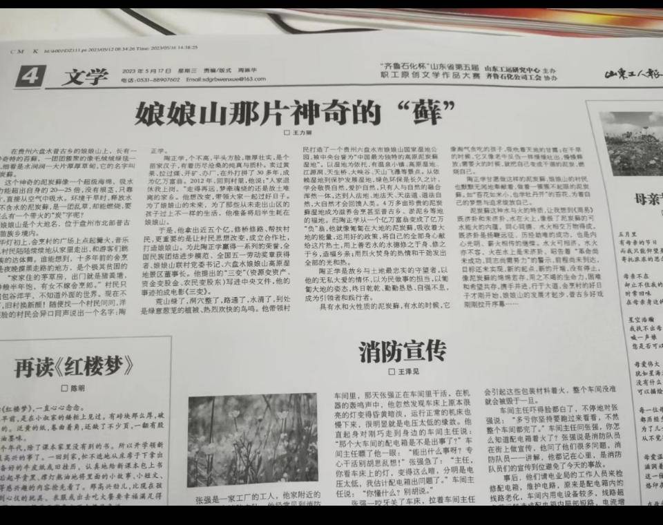 山东工人报电子版2025年2月16日山东工人报电子版，新闻传播的新篇章-第1张图片