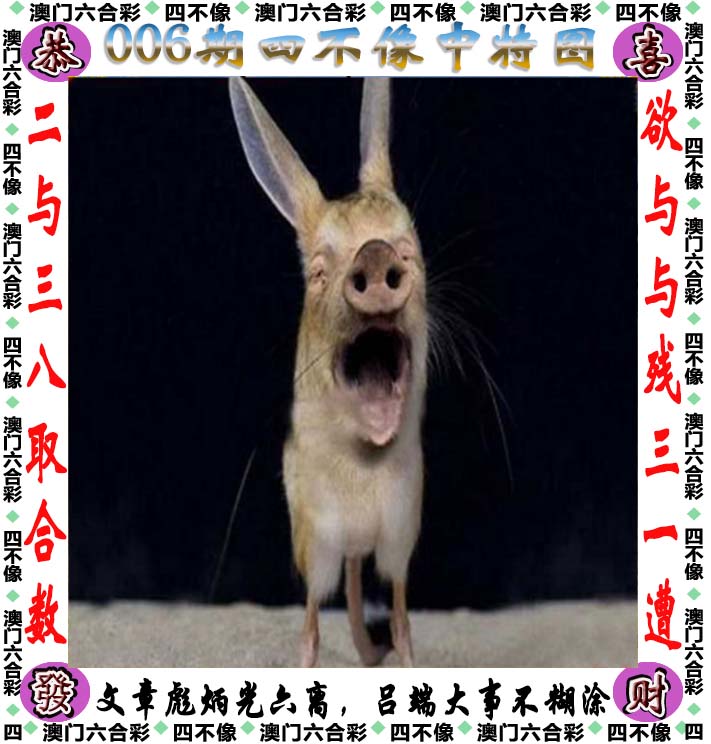 一肖三码一肖三码，揭秘彩票投注技巧-第1张图片