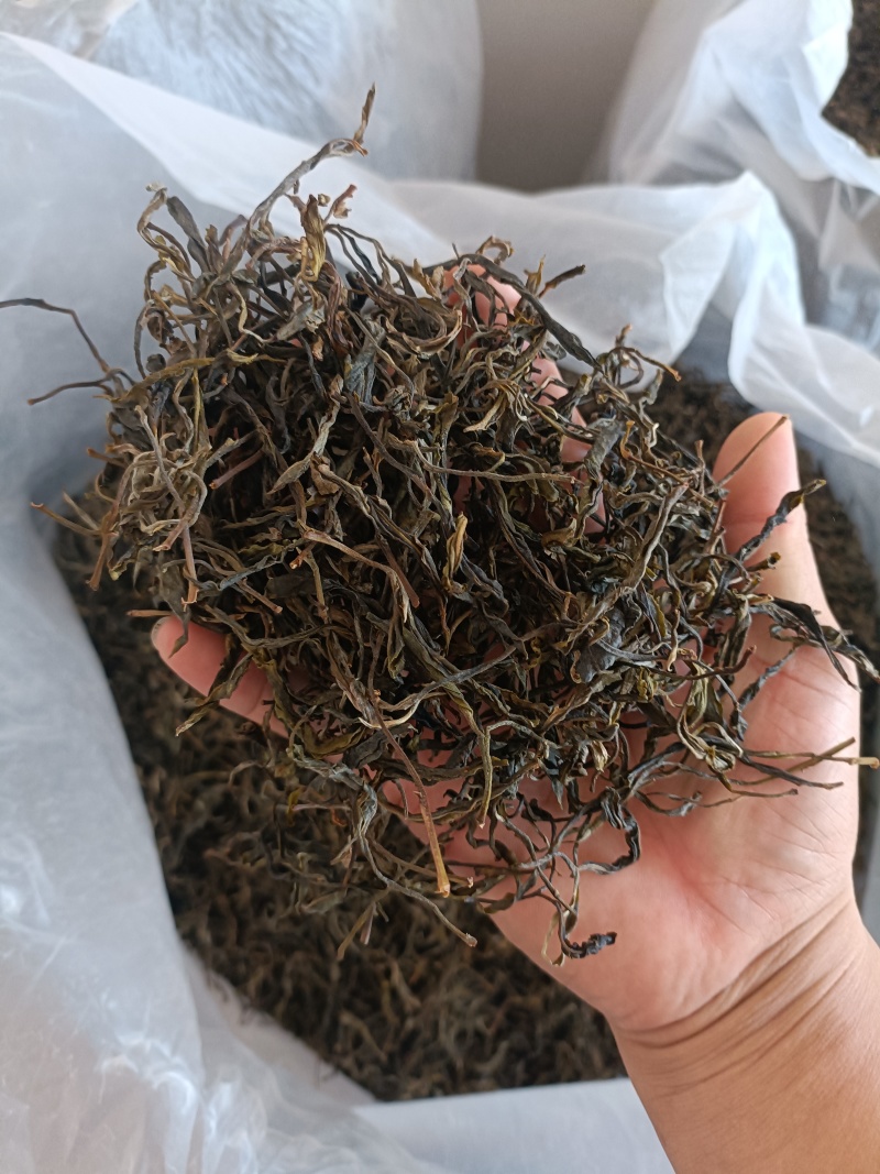 云南茶叶普洱茶有什功效云南茶叶——普洱茶-第1张图片
