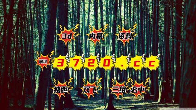 香港开奖记录结果查询香港开奖记录概览