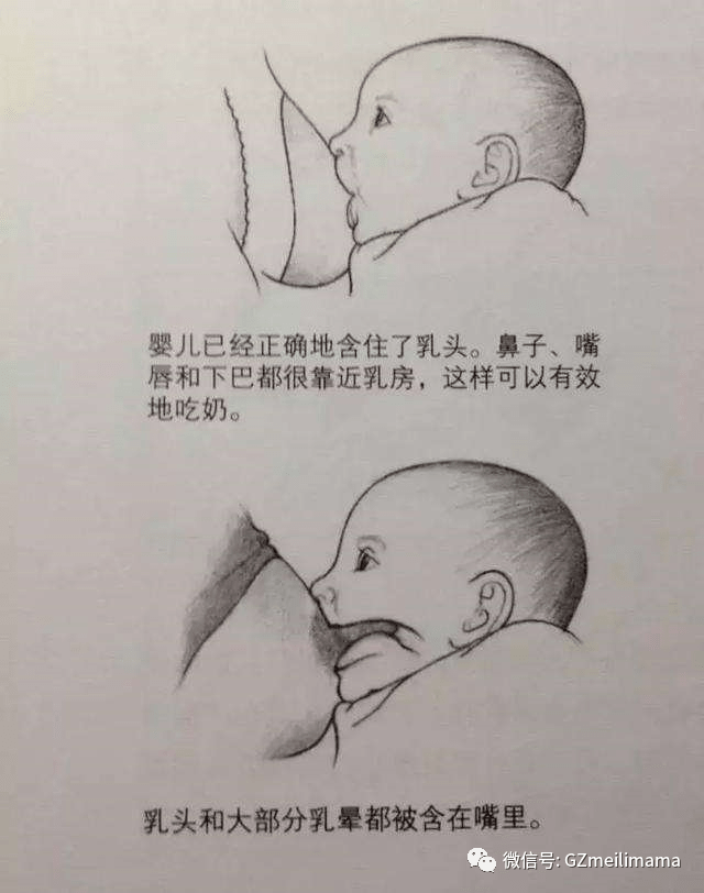 在厨房里两只乳头被吸肿了在厨房里两只乳头被吸肿了-第2张图片