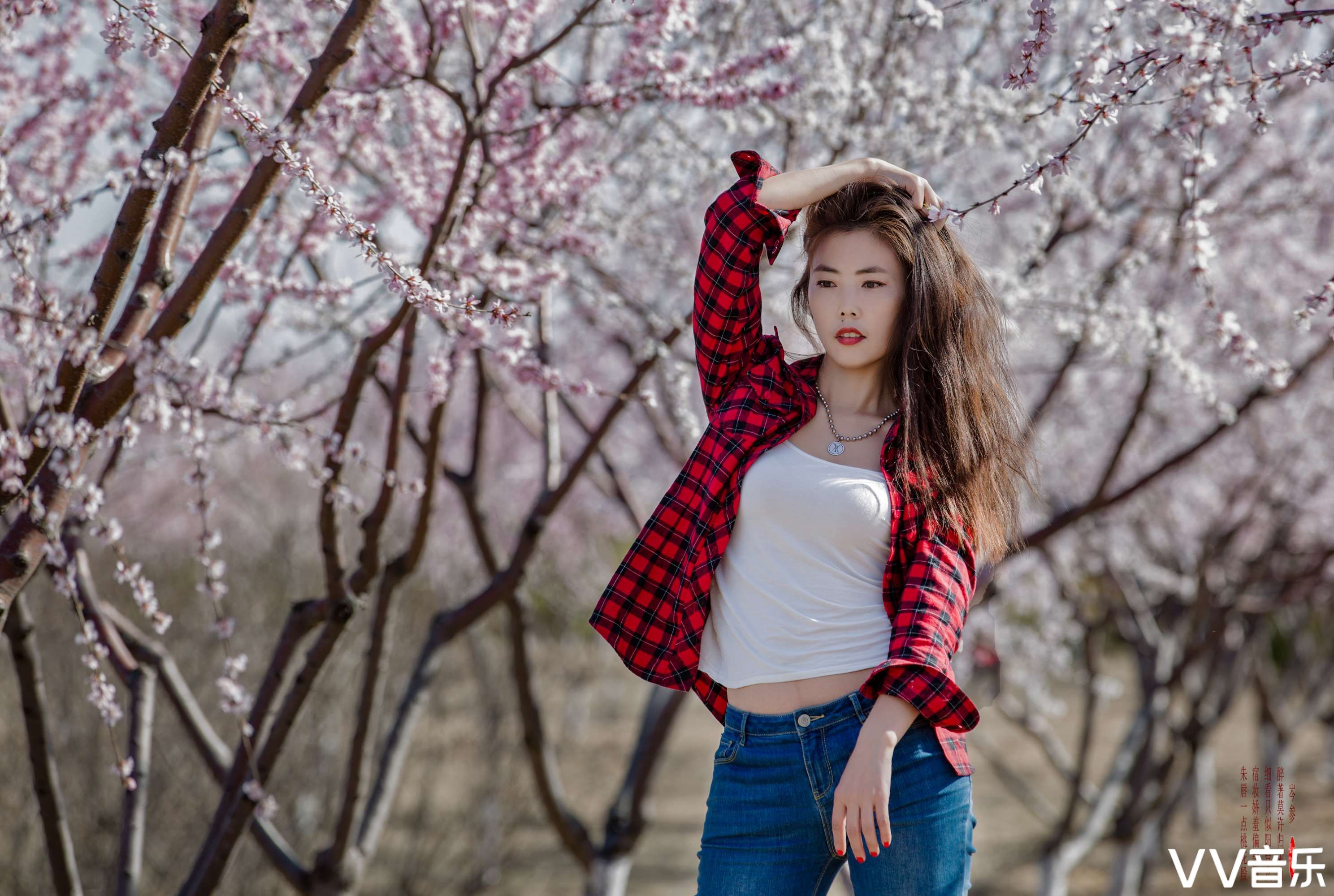 桃花在线免费观看BD文章-第1张图片