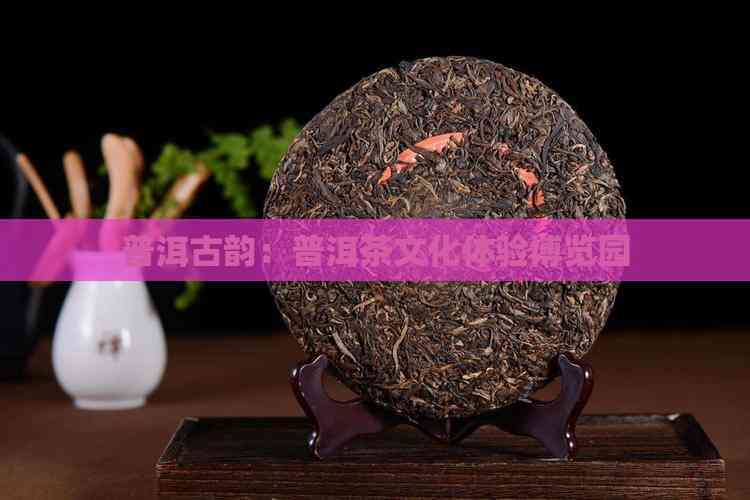 中国普洱茶，品味历史与文化的瑰宝-第1张图片
