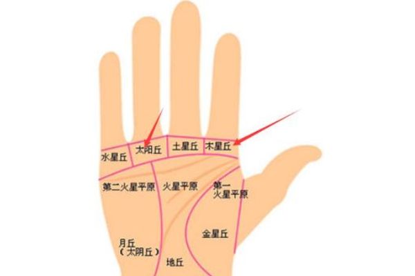 财运网名大全男财运网，财富之门的探索-第1张图片