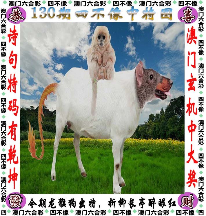 二四六天天好彩免费资料精选
