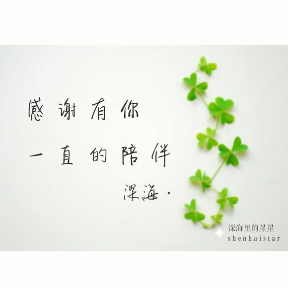 杏吧有你 十年陪伴 感恩有你亚洲第一会所，奢华与尊荣的殿堂-第1张图片