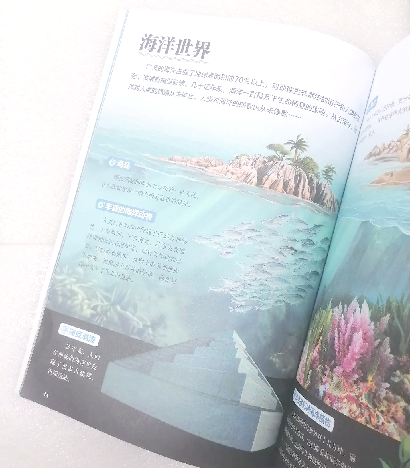 狠狠搜2020狠狠搜，探索无尽的知识海洋-第1张图片