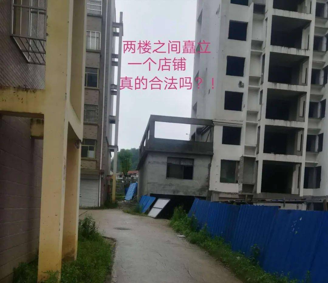 小区电工老周刘芳，最强王者-第2张图片