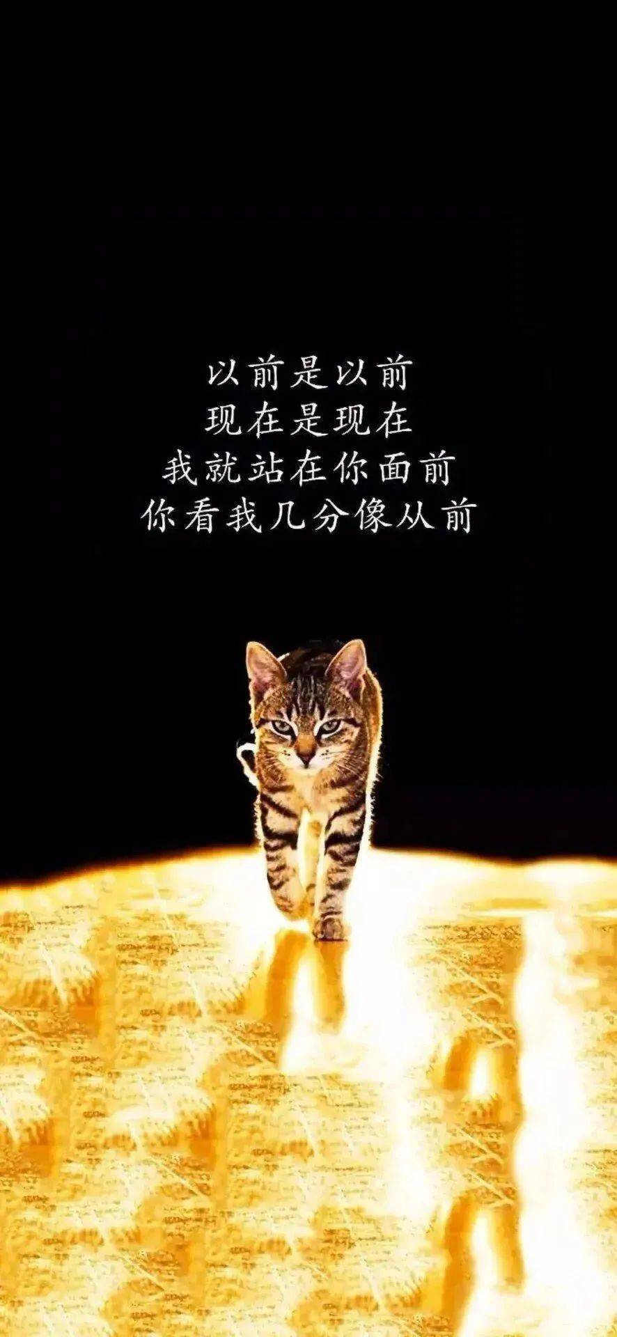乐透乐，一种快乐与幸运的交织-第1张图片