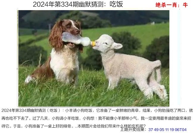 2024天天彩全年免费资料2024全年免费天天彩资料大全-第3张图片