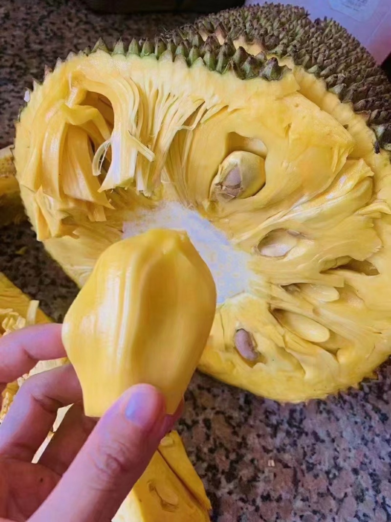 菠萝蜜不正经视频菠萝蜜不正经视频泛滥成灾-第1张图片