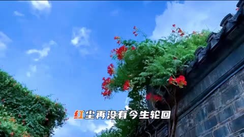 秘密列车电影免费完整版播放日本妻伦情欲电车，深层次的情感交织-第1张图片