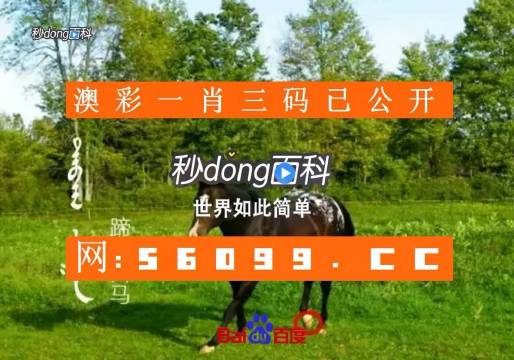 红姐图库库红姐图库总站，探索数字时代的视觉盛宴-第2张图片