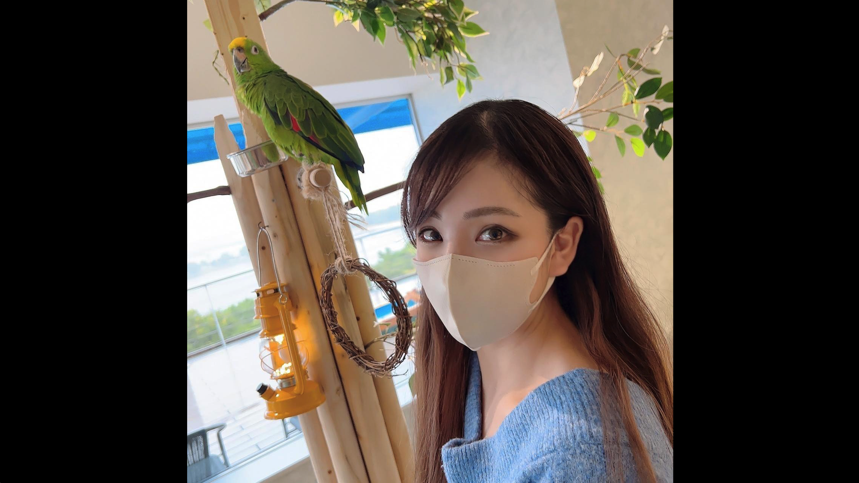 国产免费久久精品国产传媒下载国产免费久久精品传媒概述-第2张图片