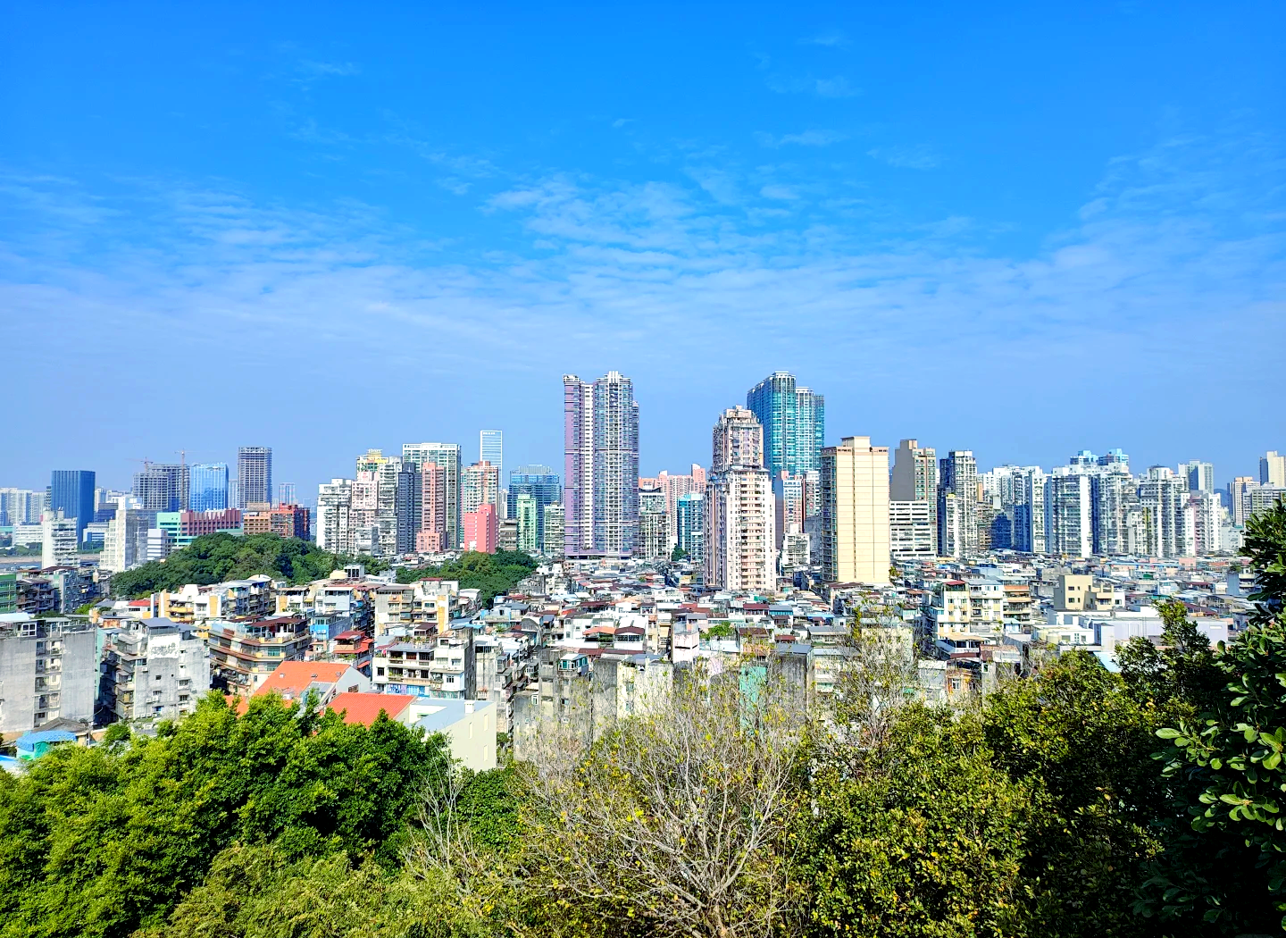 2025年新澳门全年免费2024新澳门免费资料，探索澳门未来的无限可能-第1张图片