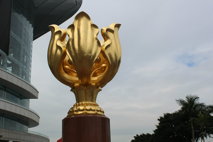 2022年香港金多宝资料2022年香港金多宝市场分析-第1张图片