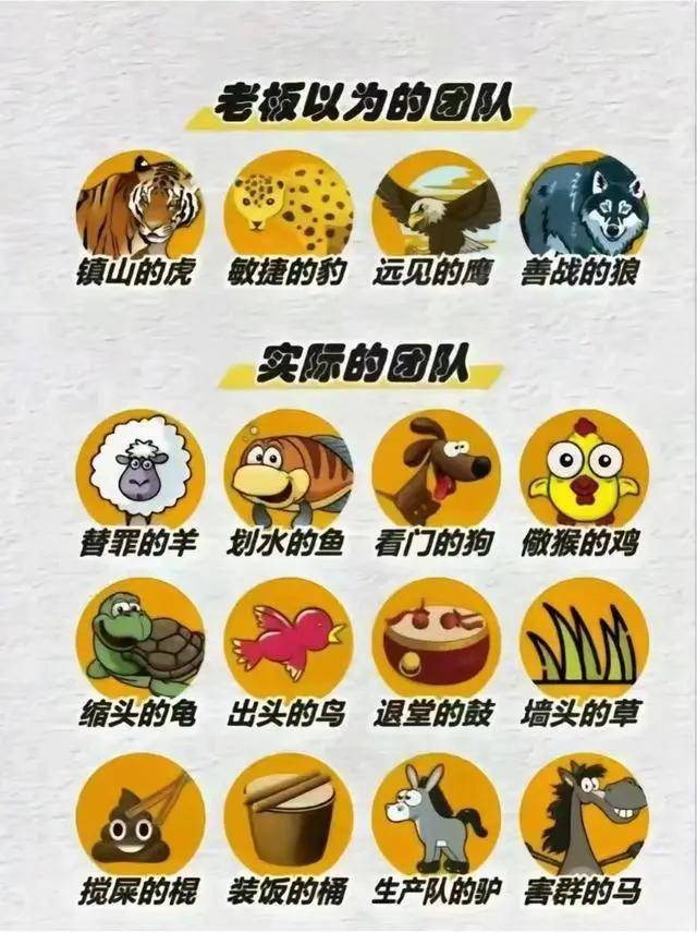 奥丹姆奥丹姆，奇幻世界的瑰宝