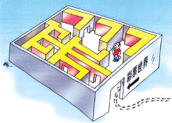 天霁彩票网，探索彩票新世界