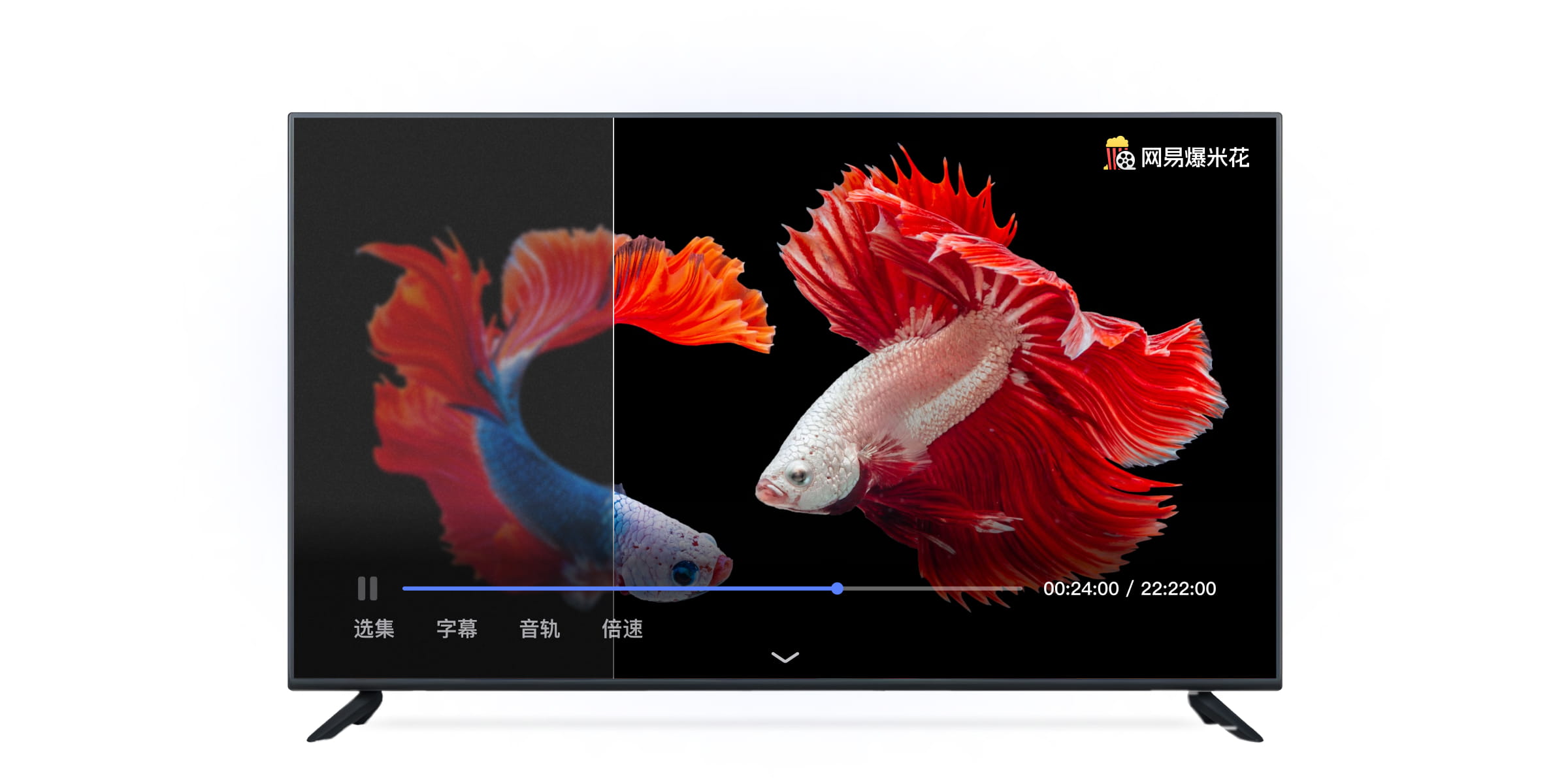 大片性播放器纤纤影院mp4大片性播放器，引领视听新潮流-第1张图片