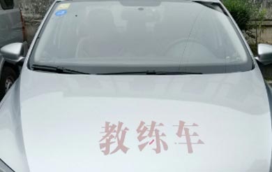 教练把车开到没人的地方教练把车开到无人之地-第2张图片