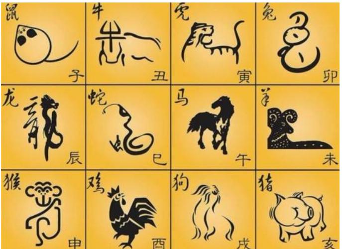群龙无首是什么生肖
