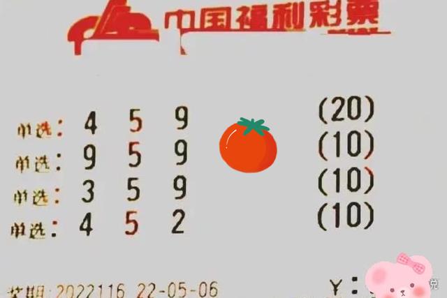 117期开奖结果揭秘117期开奖结果，数字背后的神秘力量