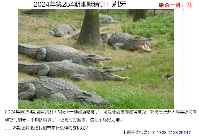 澳门4949开奖结果最快澳门4949开奖结果最快揭晓-第2张图片