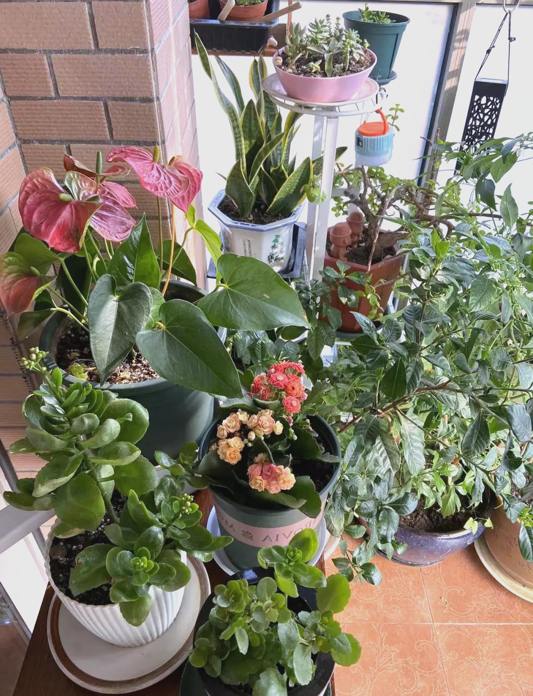 花花社区花花社区，多彩生活的聚集地