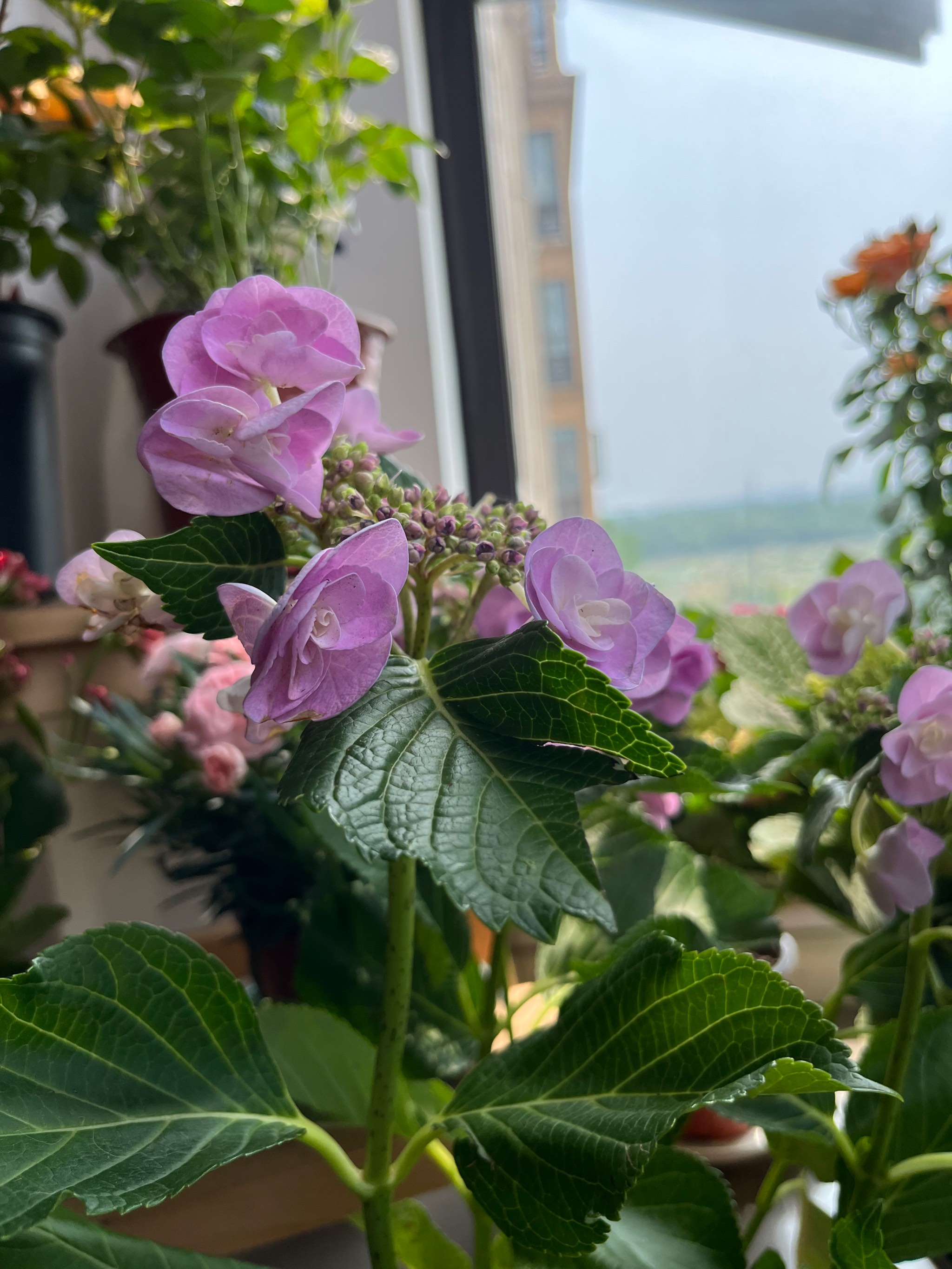 花花社区花花社区，多彩生活的聚集地-第2张图片