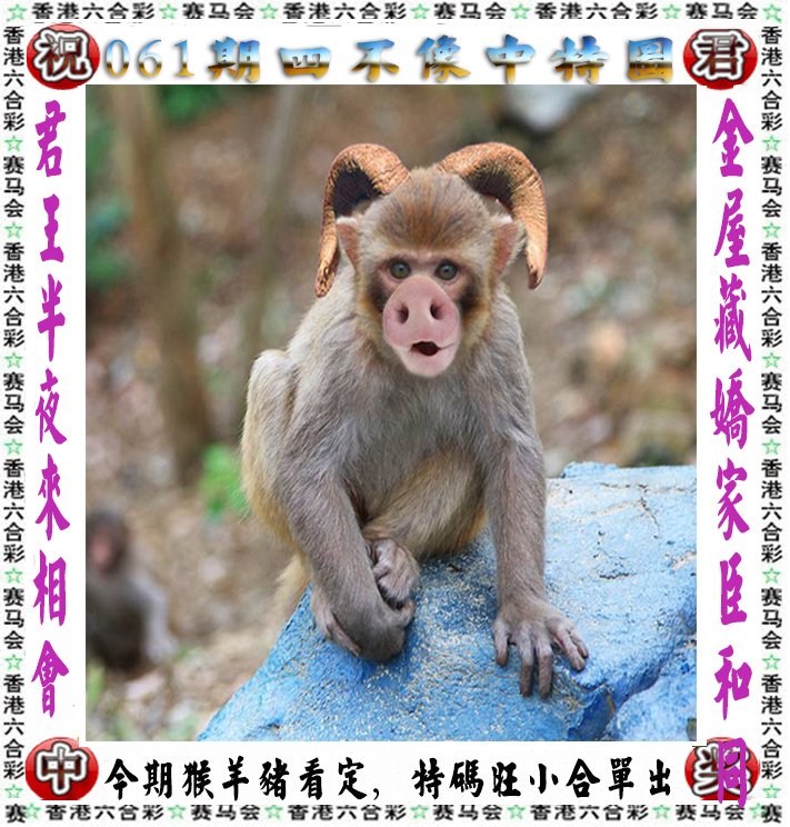 马会传真内部绝密信封资料马会传真内部绝密信封资料-第1张图片