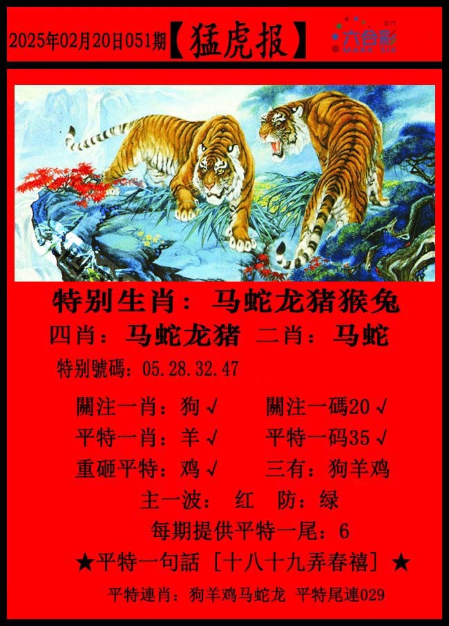 管家婆2024资料精准大全