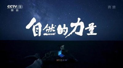 一个人吃上面一个吃下一个人吃下的启示-第1张图片