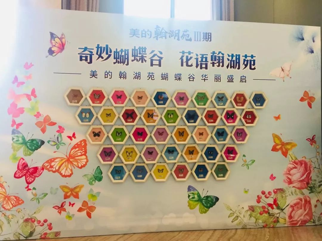 蝴蝶谷网址娱乐网，探索网络世界的奇妙之旅-第1张图片