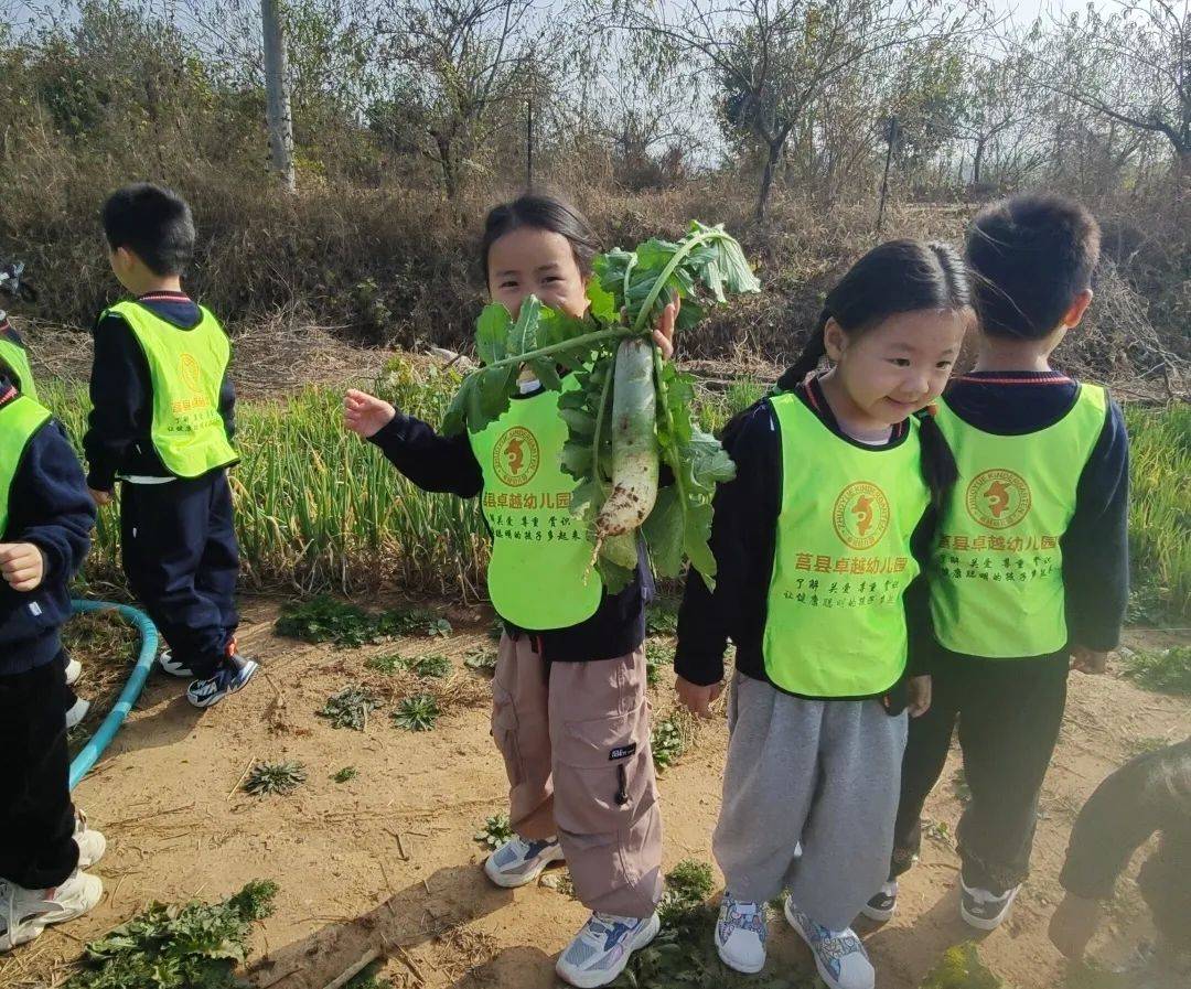伊在人间香蕉最新视频，探索自然与美食的奇妙之旅-第1张图片