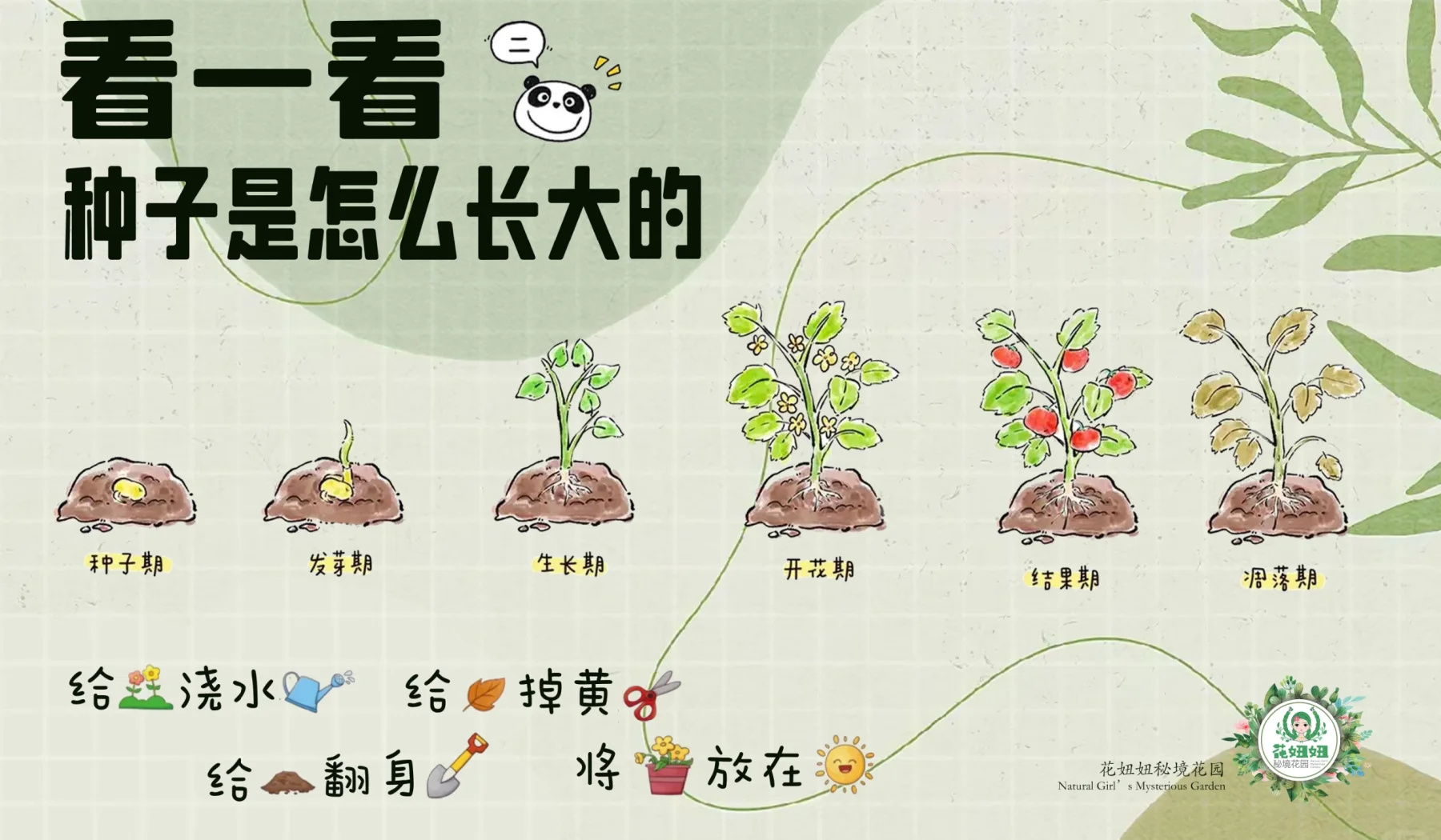 伊在人间香蕉最新视频，探索自然与美食的奇妙之旅-第3张图片