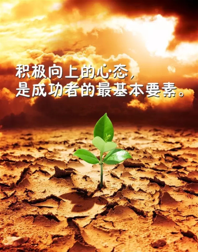 每天都在挨龠，生活的无声挑战-第1张图片