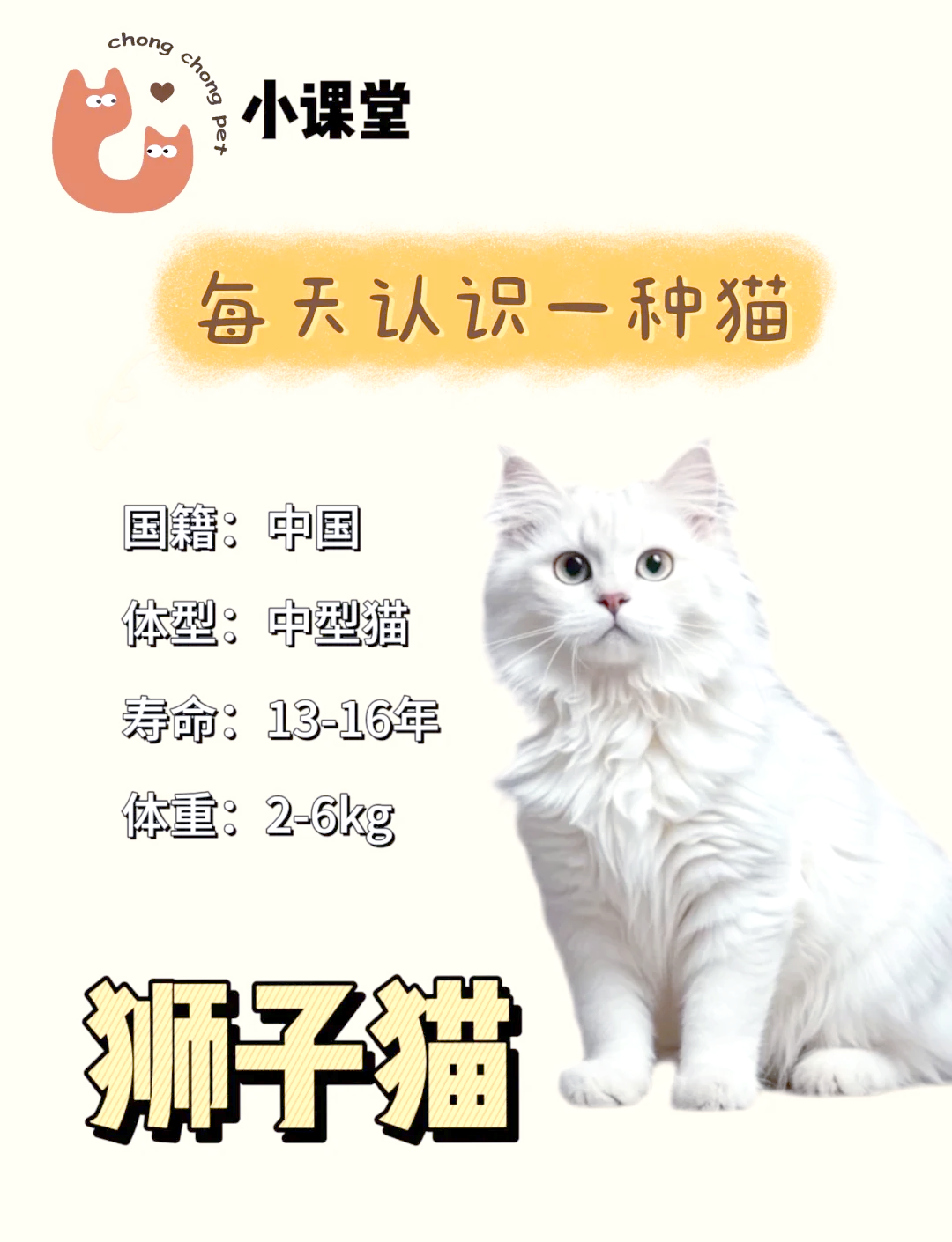 猫咪最新破解版，解锁神秘世界-第2张图片