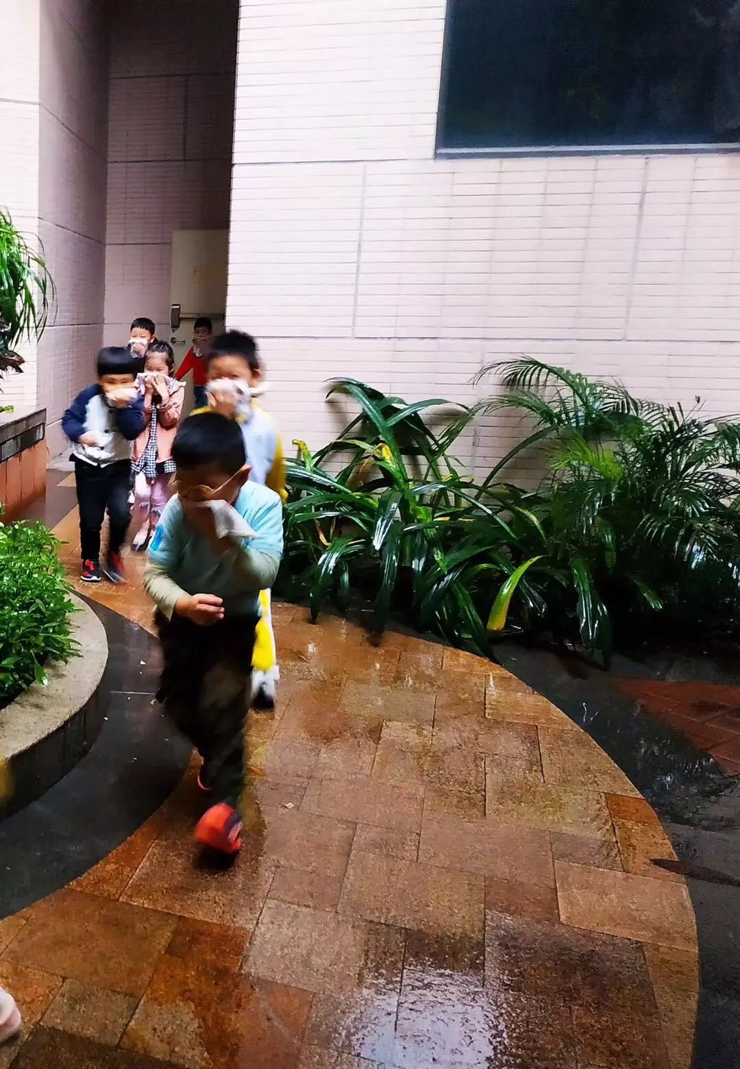 乐乐地带商城乐乐地带论坛，探索网络交流的新天地-第1张图片