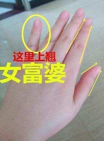 富贵心水论坛富贵心水论坛，探寻财富与心灵的交汇之地-第1张图片