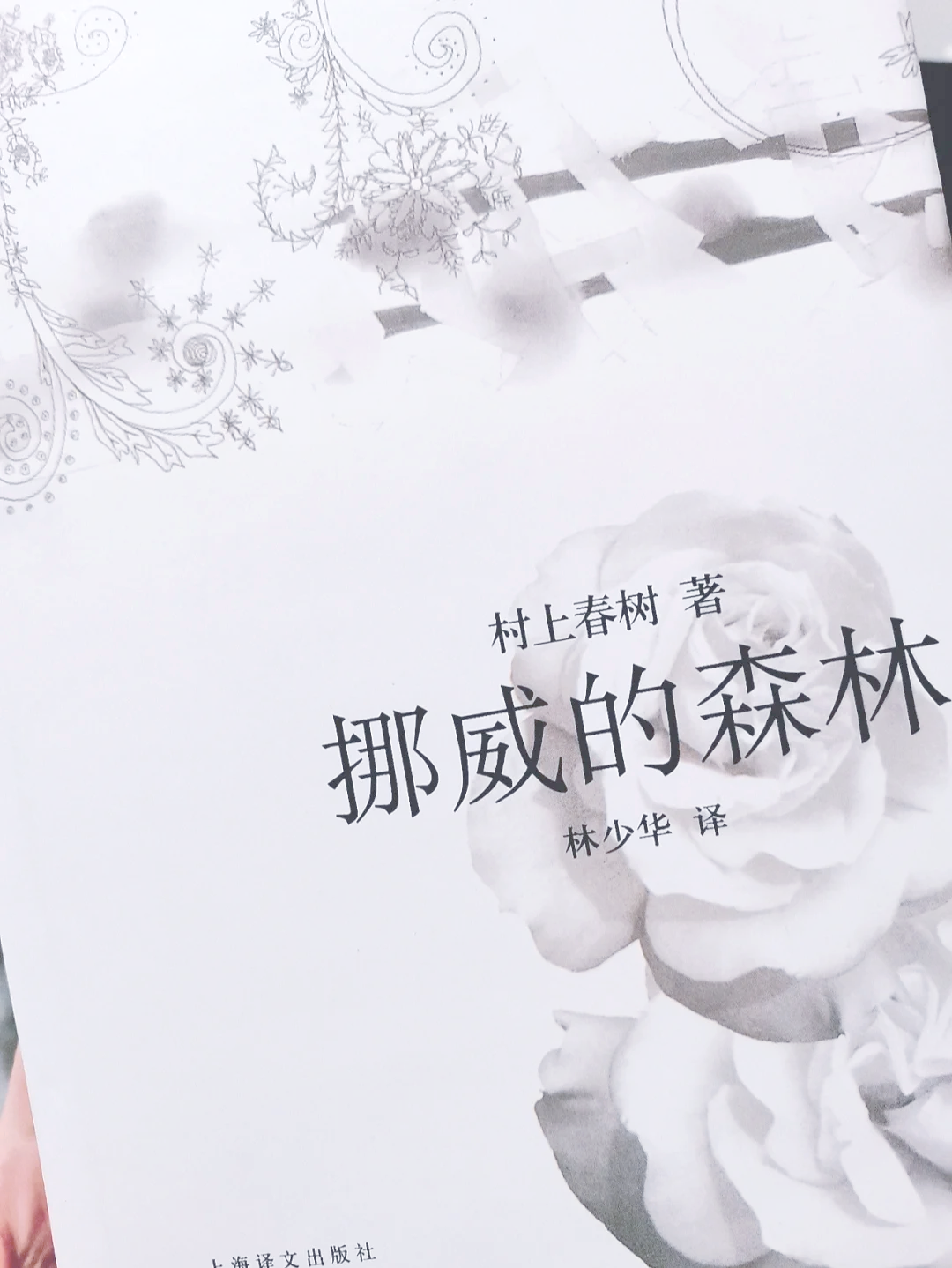 挪威的森林中的一段视频-第2张图片