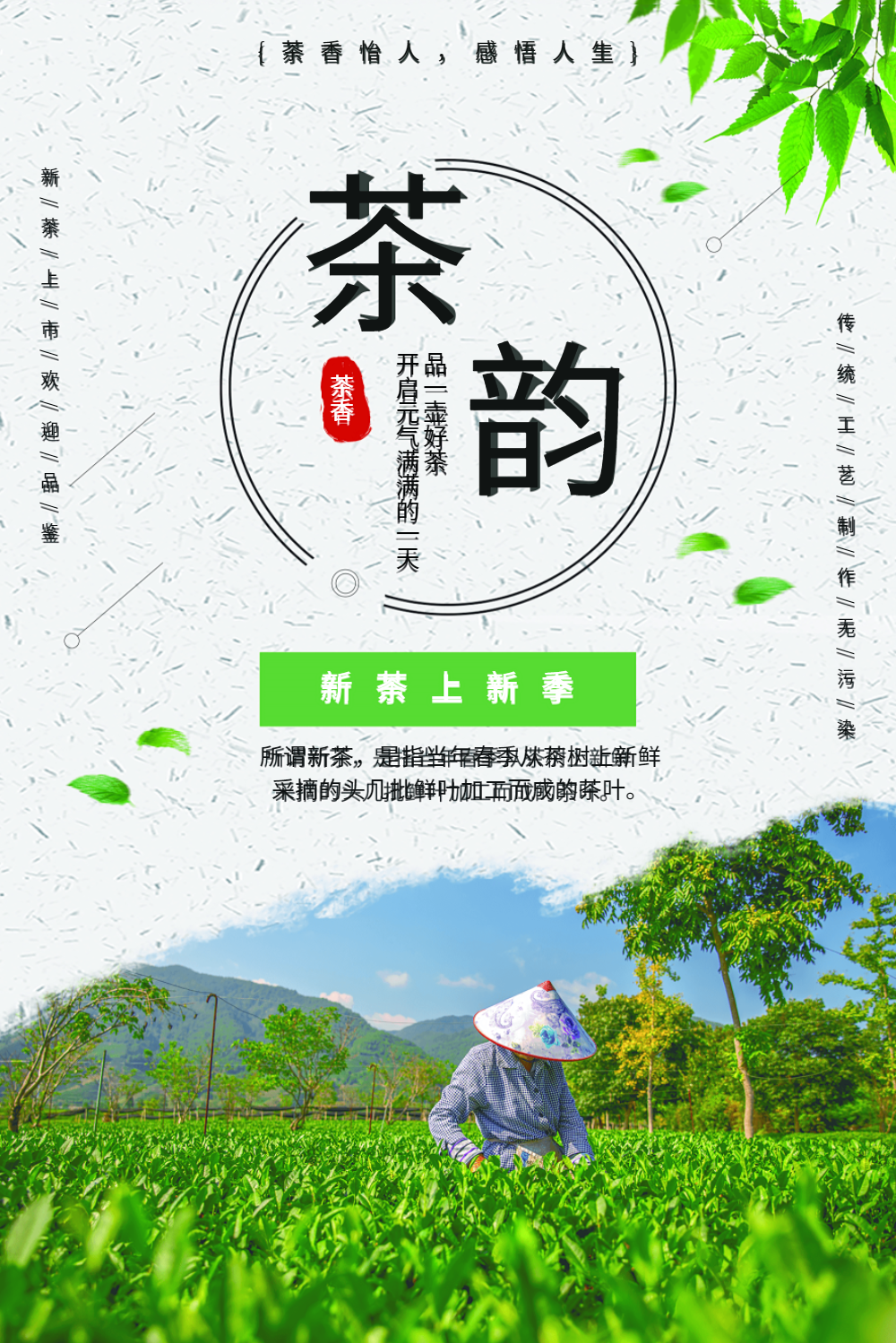 上海茶叶大王向玉荣，茶韵人生，辉煌传奇