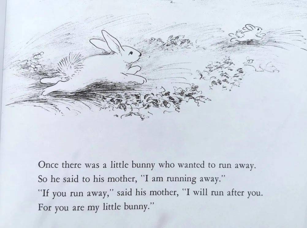 英语老师的兔子好软