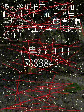 上海11选五开奖结果一定牛上海11选五开奖结果一定牛-第2张图片