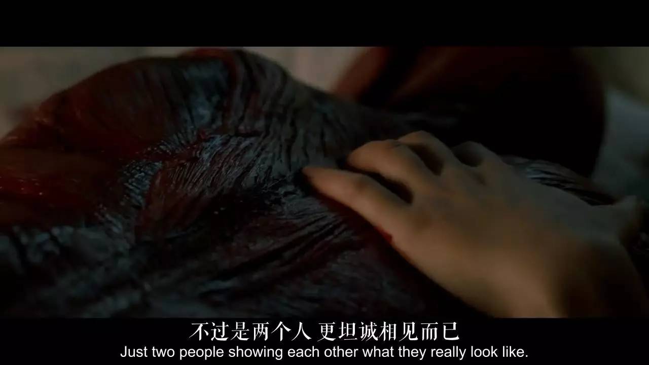 禁止观看的18出啪视频网站揭秘