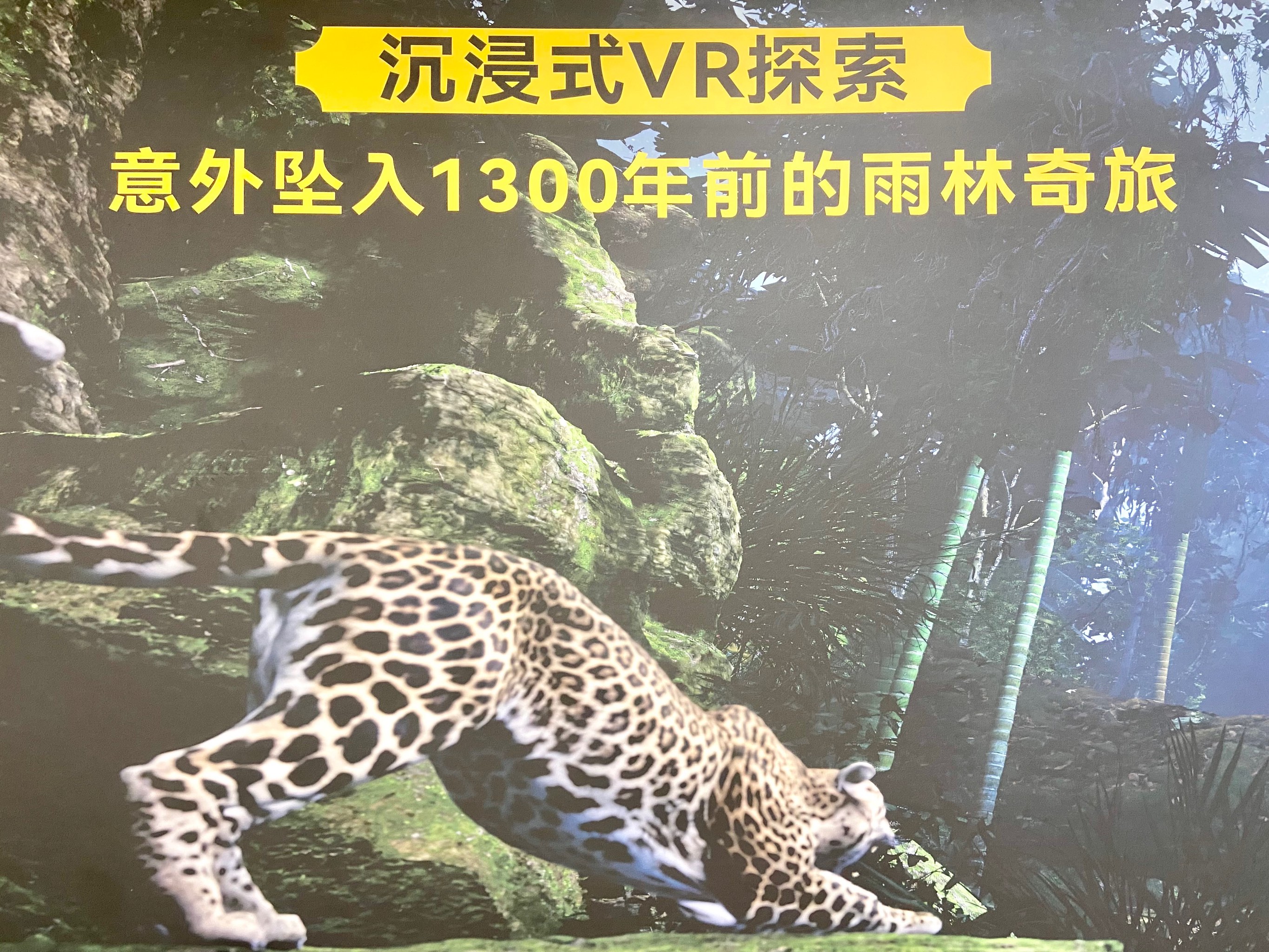 玛雅论坛转载文章-第1张图片