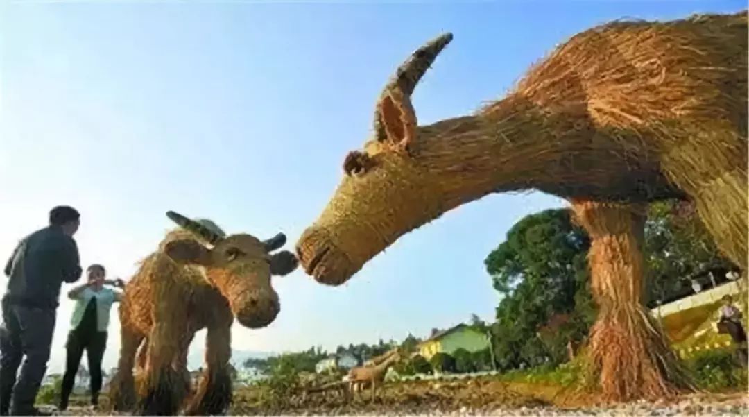 乡村欲爱的事乡村欲爱，免费阅读的诗意田园-第1张图片