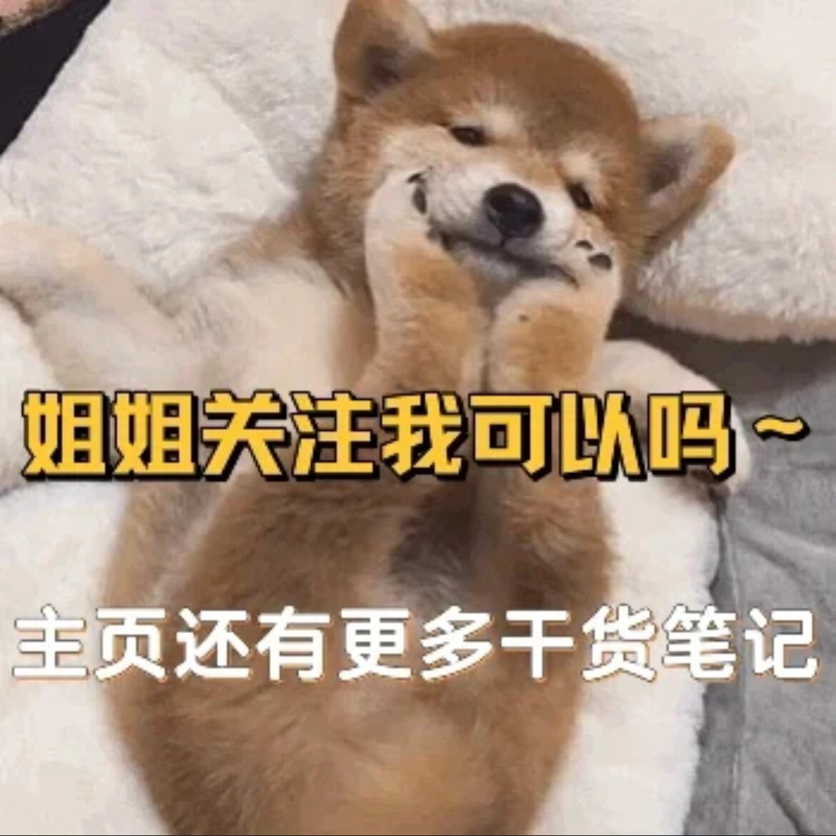 ps联盟下载PS联盟下载，解锁创意与效率的双重魅力-第1张图片