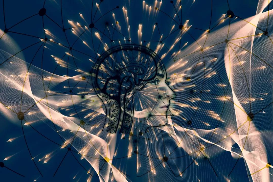 78222.com，探索数字时代的无限可能-第1张图片