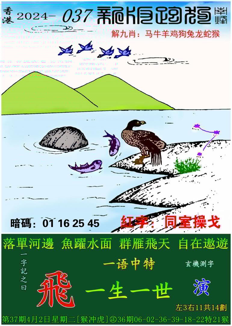 管家婆必出一中一特新澳门，一肖一特一中，魅力无限-第1张图片
